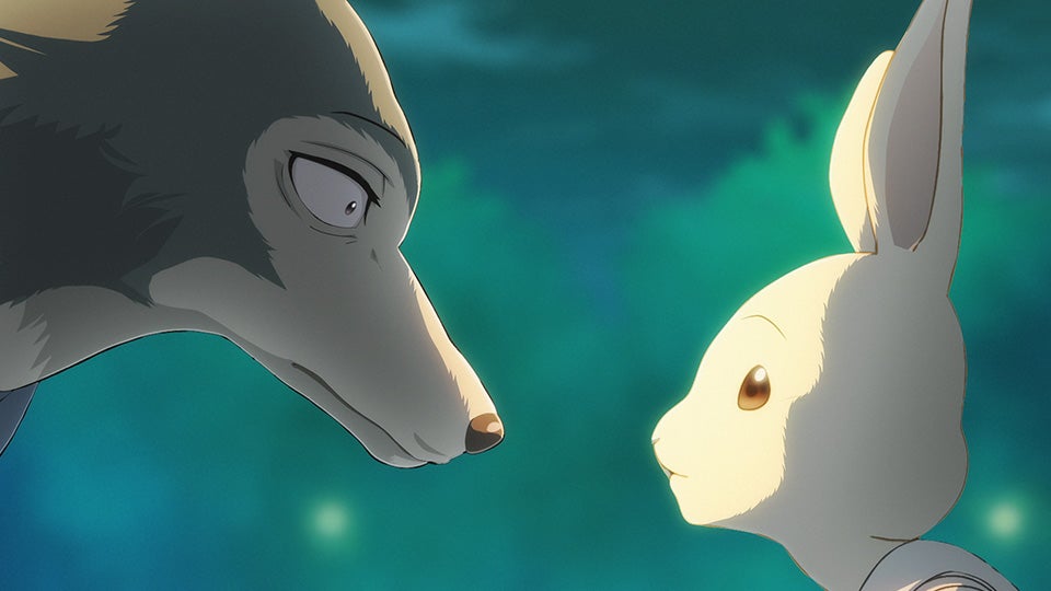 Haru e Legoshi, la coniglietta e il lupo di Beastars, si guardano negli occhi